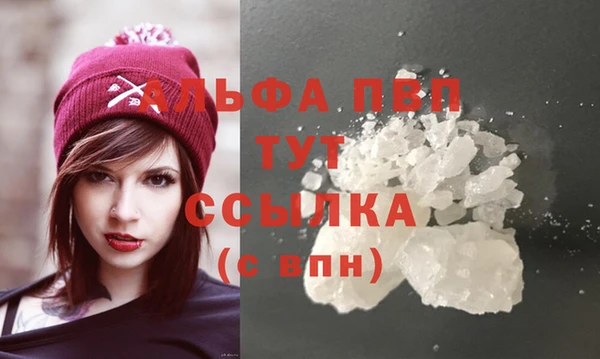 шишки Абаза