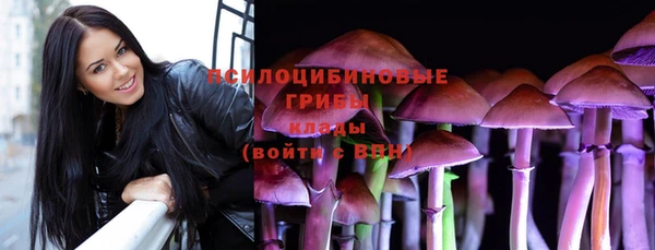 шишки Абаза