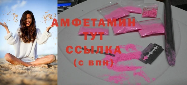 шишки Абаза