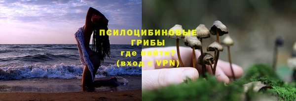 шишки Абаза