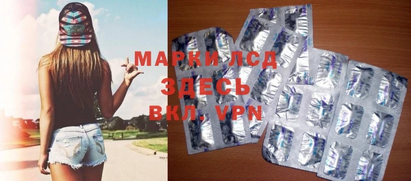 шишки Абаза