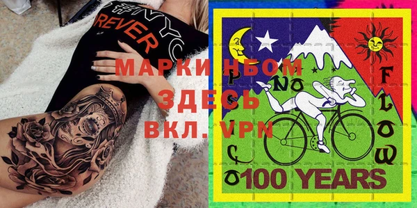 шишки Абаза