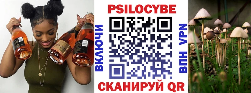 наркошоп  Весьегонск  Псилоцибиновые грибы мицелий 